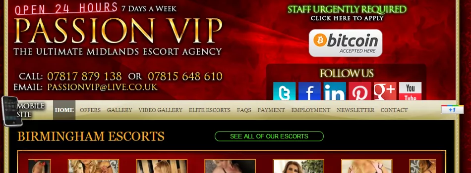 The original Passion VIP website header from 2013, announcing Bitcoin payments